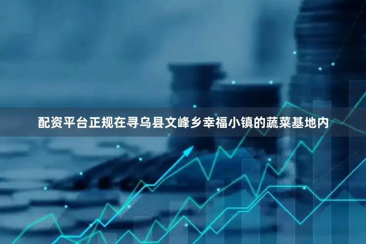配资平台正规在寻乌县文峰乡幸福小镇的蔬菜基地内